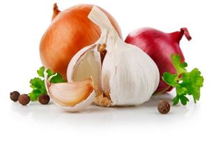 the onion and the garlic