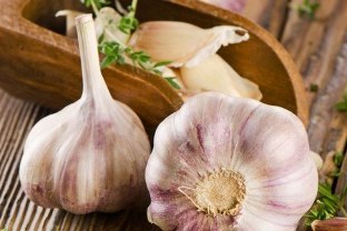 Funds on the basis of garlic